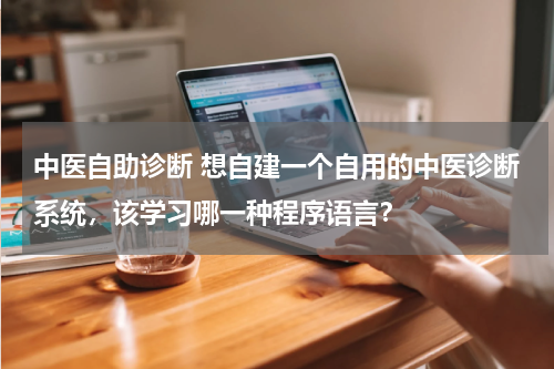 中医自助诊断 想自建一个自用的中医诊断系统，该学习哪一种程序语言？