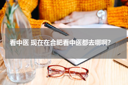 看中医 现在在合肥看中医都去哪啊？