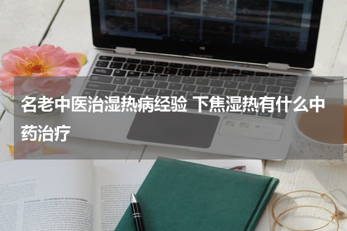名老中医治湿热病经验 下焦湿热有什么中药治疗