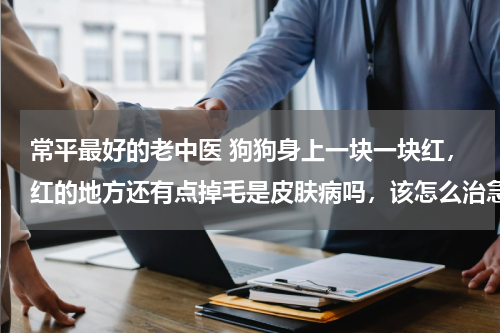 常平最好的老中医 狗狗身上一块一块红，红的地方还有点掉毛是皮肤病吗，该怎么治急急急