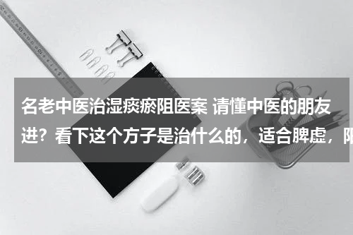 名老中医治湿痰瘀阻医案 请懂中医的朋友进？看下这个方子是治什么的，适合脾虚，阳虚，痰湿体质的人吗？