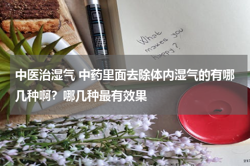 中医治湿气 中药里面去除体内湿气的有哪几种啊？哪几种最有效果