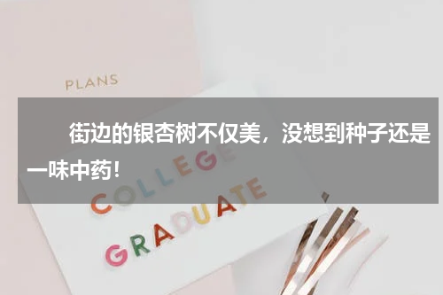　　街边的银杏树不仅美，没想到种子还是一味中药！